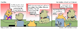 Introducing Katrina Vittles, feline Web developer.